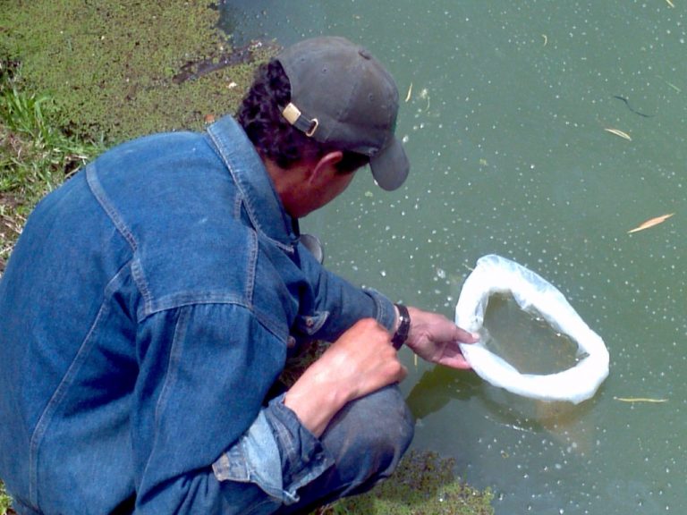 Lake maintenance